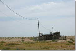 dungeness 045