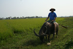 Hoi An, Vietnam 001.JPG