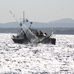 IMG_2669.JPG