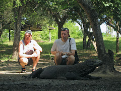 Komodo dragon at Rinca island Komodo dragon at Rinca island