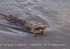 У всех хозяева - люди...