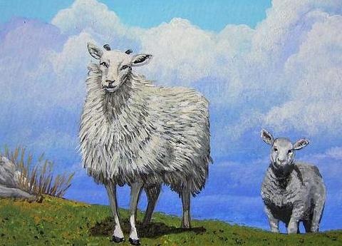 [sheep%2520follow%255B4%255D.jpg]
