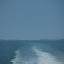 IMG_5259.jpg