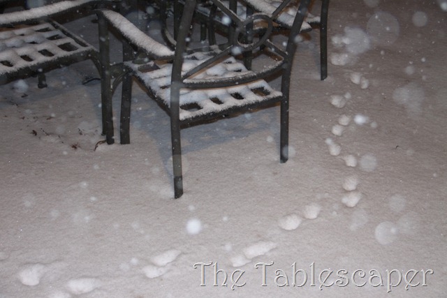 [Snow%2521%2520267%255B3%255D.jpg]