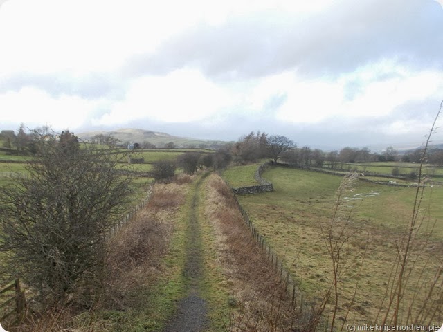 teesdale railway path