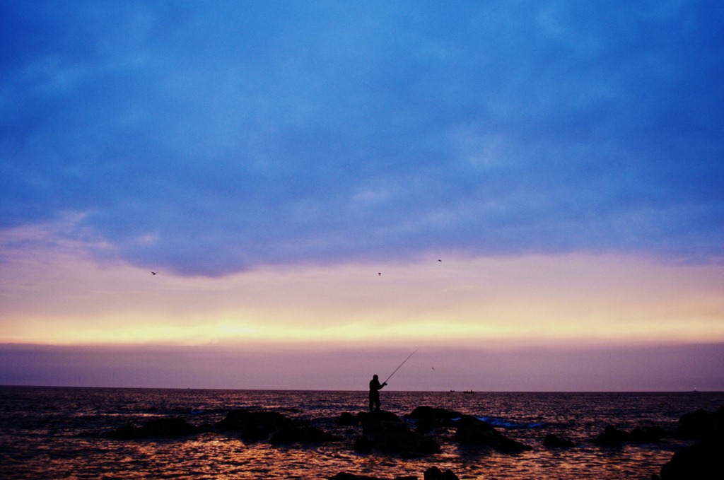 [1-DSC_1498%255B6%255D.jpg]