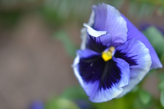 DSC_0567 DSC_0567