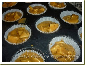 Muffin alle mele con zucchero di canna integrale e grappa al limoncello (3)