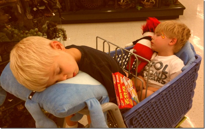 Dana is one BRAVE lady. Jack and Gray in Hobby Lobby Dana is one BRAVE lady. Jack and Gray in Hobby Lobby
