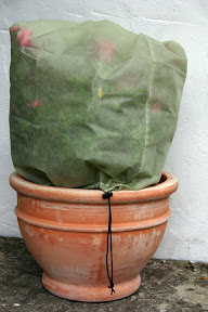 Small Easy Fleece Jackets - Ideal for container plants