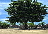 Looking back at the same little canoe under the tree and the village behind it. Madagascar6 - 087.jpg