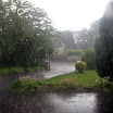View from a window-Sandra Spillane.JPG