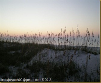Copy (2) of GulfShores10.13.2012.2 001