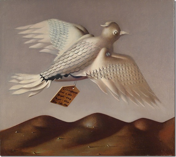 FLIGHT FLIGHT