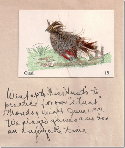 Quail