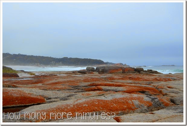 How Many More Minutes? ~ Bay of Fires, Tasmania