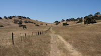 DSC02881.jpg