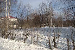DSC_0162.jpg