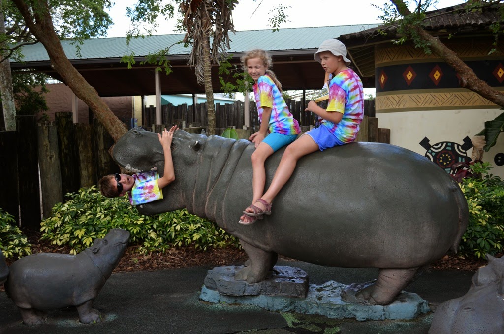 [DSC_8775%255B3%255D.jpg]