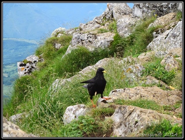 txindoki 059 txindoki 059