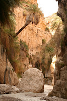 IMG_8549.JPG Photo