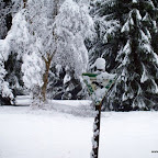 20091201 Allgaeu 1032 [640x480].JPG
