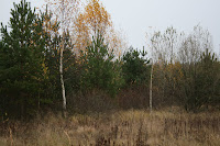 IMG_5581.JPG Photo