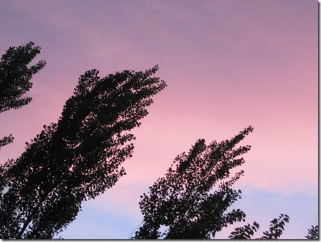 [IMG_4438_thumb22.jpg]
