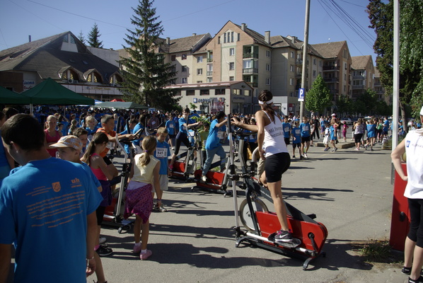 tomegfutas_2013_4370.jpg