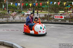 IMG_3607 IMG_3607