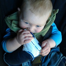 shoe eater