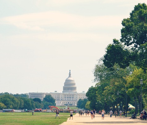 dc_38 dc_38