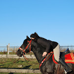 DSC_0178.JPG
