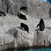 hokkaido_485.jpg