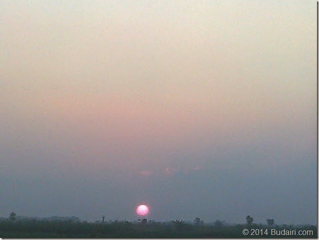 Photo0229