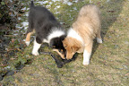 _DSC0043.JPG
