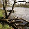 dsc07025.jpg