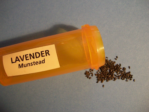 Securely store garden seeds.