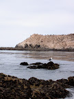 Bird Rock