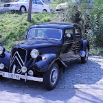 IMG_9153.jpg