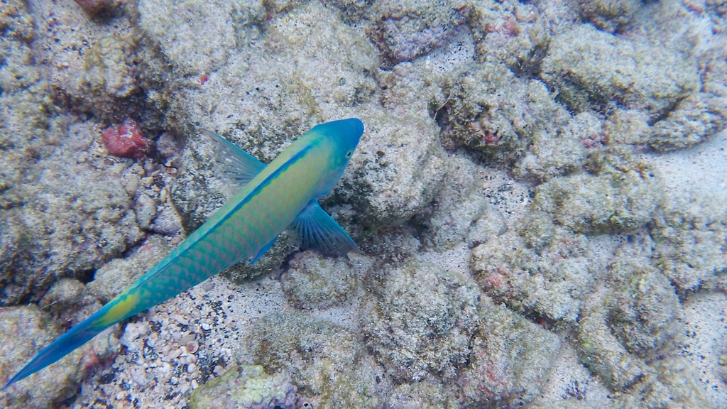 [20121211-100_02834.jpg]