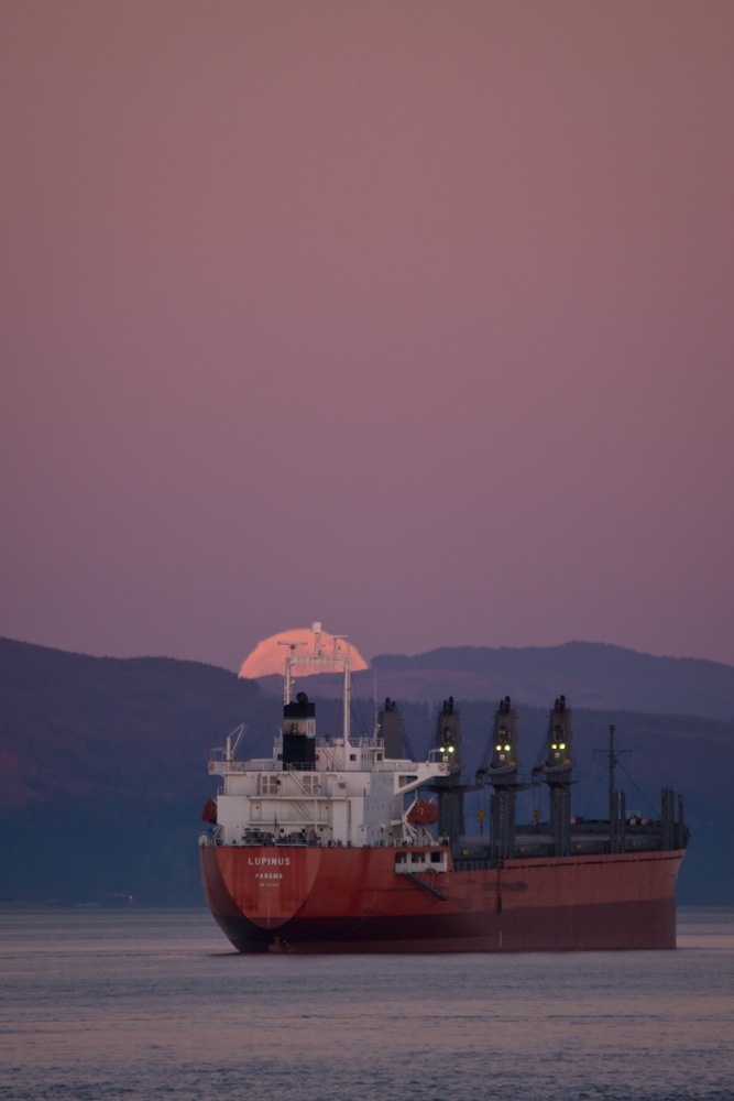 [LupinusMoonrise%255B5%255D.jpg]