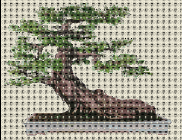 [bonsai%25201%255B1%255D.png]