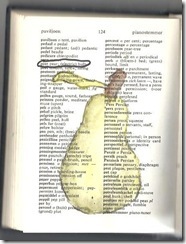 peer 001