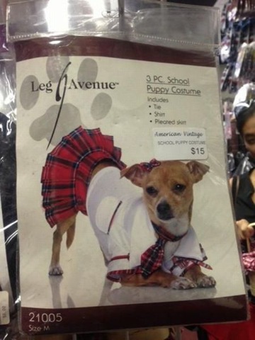 [viral-picdump-pics-53%255B2%255D.jpg]