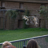 Cub Pack Holiday - Skreens Park 2012 - DSC_0173.jpg