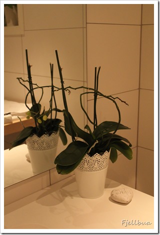IMG_9469 IMG_9469