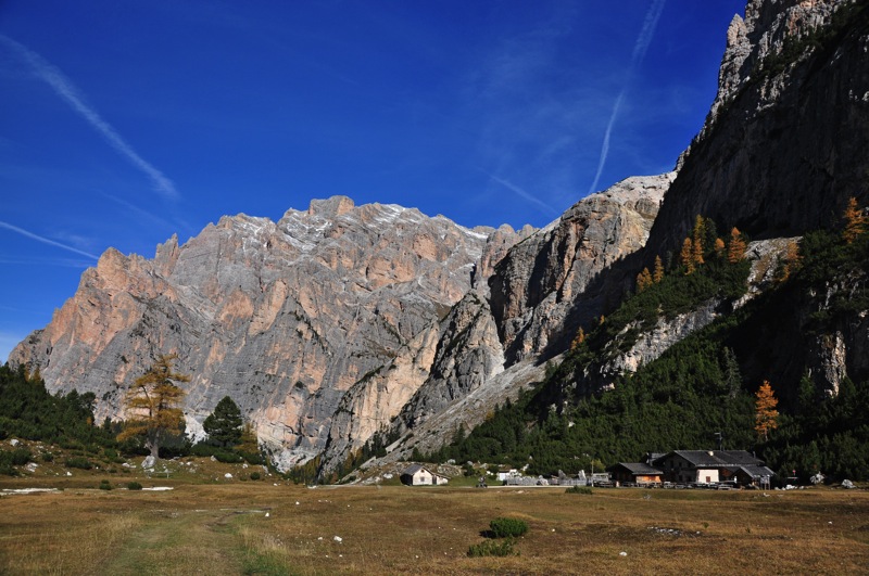 DSC 2985