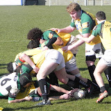 DSCN0427.JPG