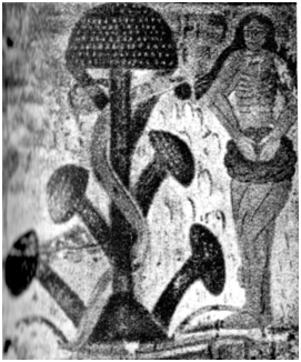 Fresco románico de la capilla de Plaincourault (Francia). Eva y el Árbol del Conocimiento (amanita muscaria). Fresco románico de la capilla de Plaincourault (Francia). Eva y el Árbol del Conocimiento (amanita muscaria).